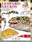 Preview: Leopardgeckos